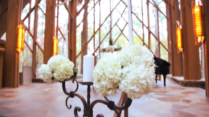 Demi Lovato - Tiffany Thornton and Chris Wedding 2969