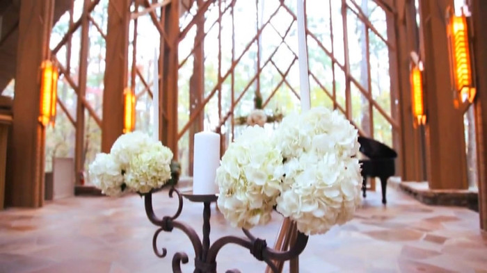 Demi Lovato - Tiffany Thornton and Chris Wedding 2971