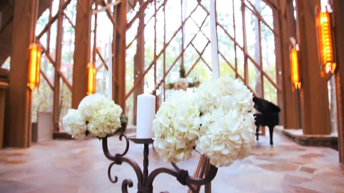Demi Lovato - Tiffany Thornton and Chris Wedding 2972