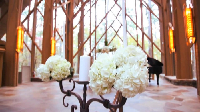 Demi Lovato - Tiffany Thornton and Chris Wedding 2974