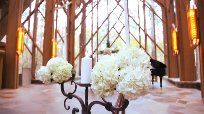 Demi Lovato - Tiffany Thornton and Chris Wedding 2975
