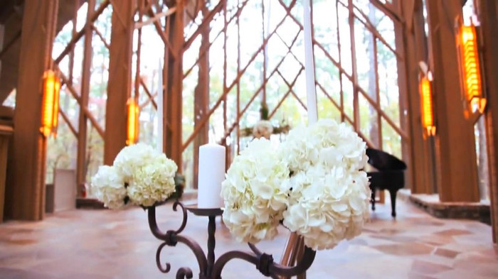 Demi Lovato - Tiffany Thornton and Chris Wedding 2978