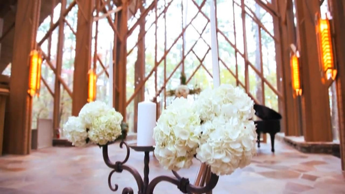 Demi Lovato - Tiffany Thornton and Chris Wedding 2980