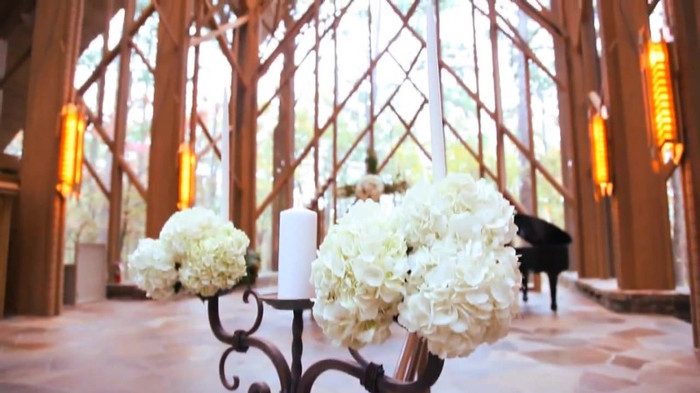 Demi Lovato - Tiffany Thornton and Chris Wedding 2981