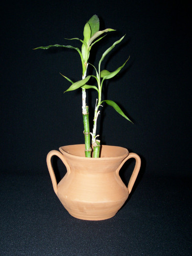 100_1676; Vas ceramica lucrat manual, cu bambus
