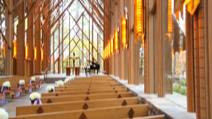 Demi Lovato - Tiffany Thornton and Chris Wedding 3143 Demi Lovato - Tiffany Thornton and Chris Wedding 3143