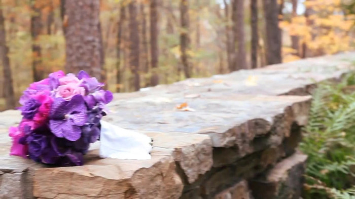 Demi Lovato - Tiffany Thornton and Chris Wedding 3166 - Demi Lovato - Tiffany Thornton and Chris Wedding Part oo6