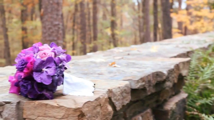 Demi Lovato - Tiffany Thornton and Chris Wedding 3169 - Demi Lovato - Tiffany Thornton and Chris Wedding Part oo6