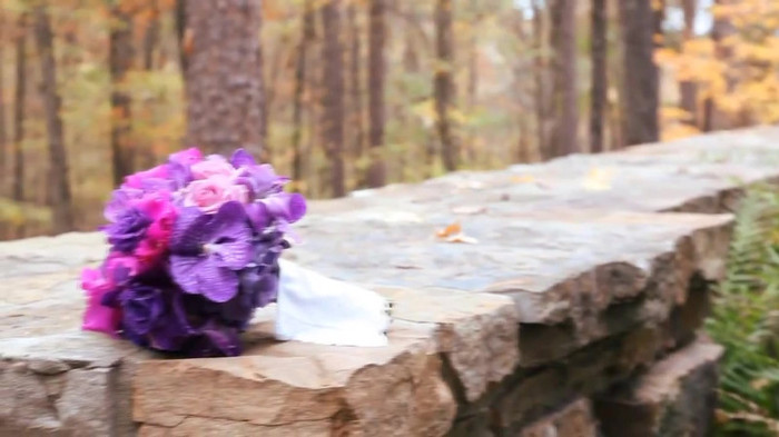 Demi Lovato - Tiffany Thornton and Chris Wedding 3179 - Demi Lovato - Tiffany Thornton and Chris Wedding Part oo6