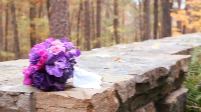 Demi Lovato - Tiffany Thornton and Chris Wedding 3181 - Demi Lovato - Tiffany Thornton and Chris Wedding Part oo6