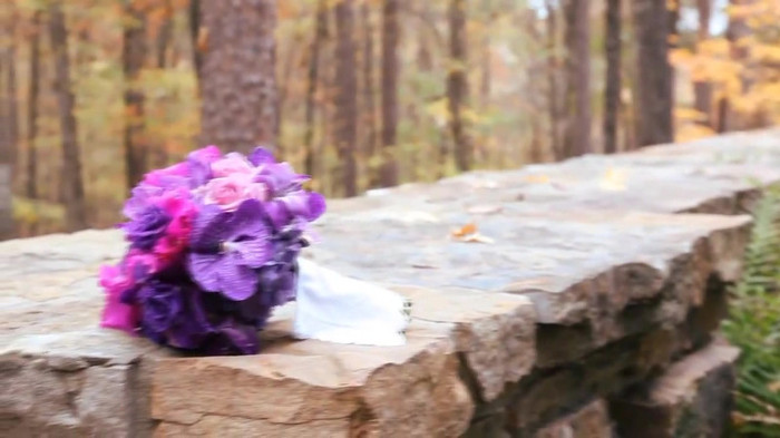 Demi Lovato - Tiffany Thornton and Chris Wedding 3183 - Demi Lovato - Tiffany Thornton and Chris Wedding Part oo6