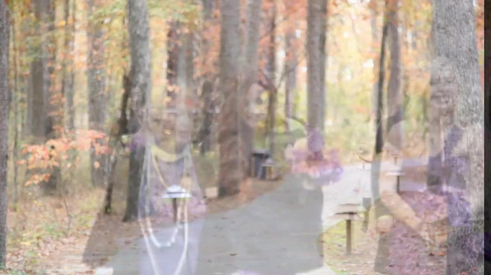 Demi Lovato - Tiffany Thornton and Chris Wedding 3406