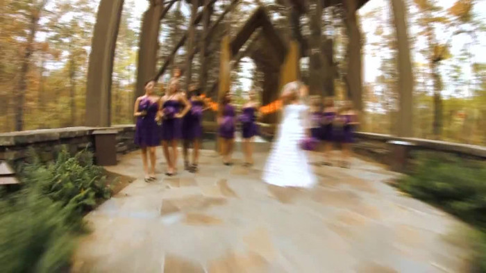 Demi Lovato - Tiffany Thornton and Chris Wedding 3430 Demi Lovato - Tiffany Thornton and Chris Wedding 3430