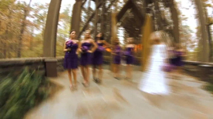 Demi Lovato - Tiffany Thornton and Chris Wedding 3433 - Demi Lovato - Tiffany Thornton and Chris Wedding Part oo6