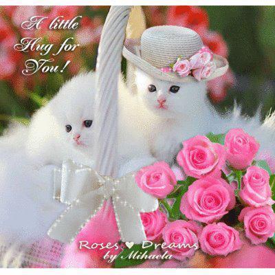 148958_208675745915008_100003177537012_328340_57861895_n