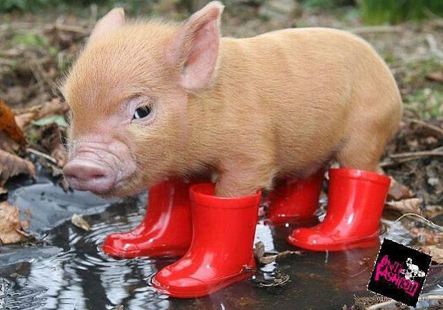 548242_192407970875119_100003177537012_290966_1671637711_n