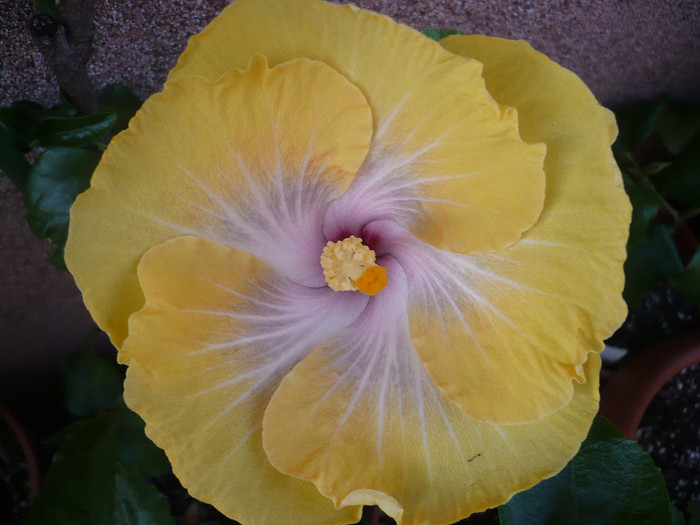 P1130294