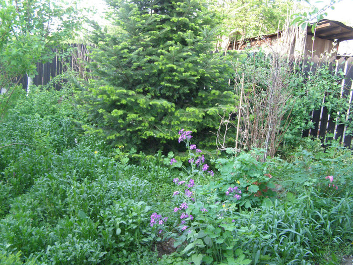 Pasarele.2012 058 - Gradina 2012