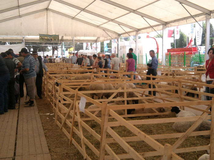 Fotografie2101 - expozitie agraria cluj 2012