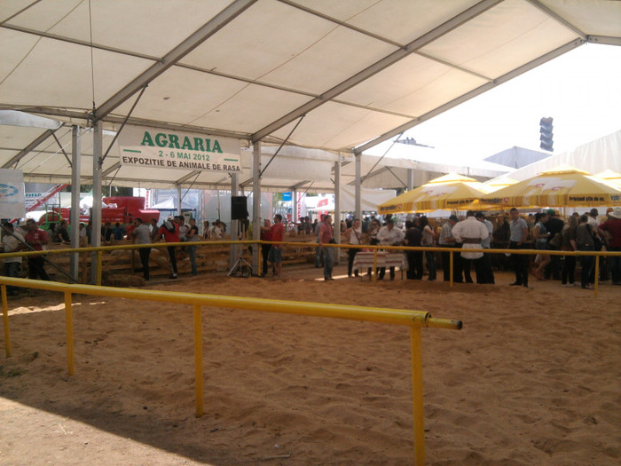Fotografie2131 - expozitie agraria cluj 2012