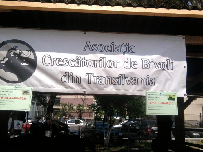 Fotografie2139 - expozitie agraria cluj 2012