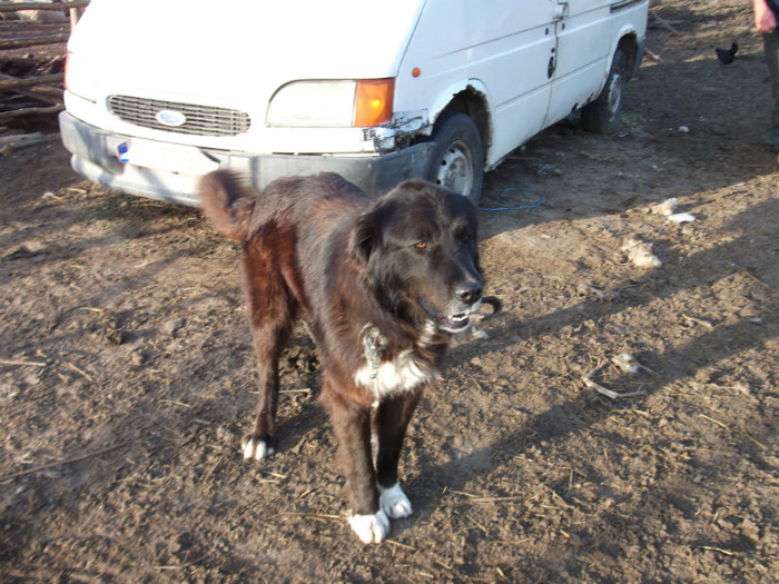 romania aprilie 2012 111