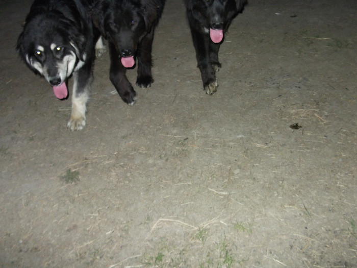 romania aprilie 2012 041