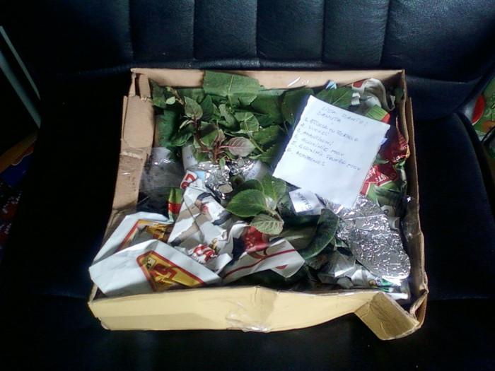 9 mai 2012-flori 019; multumesc mult mihaela neacsu !
