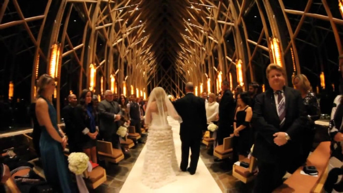 Demi Lovato - Tiffany Thornton and Chris Wedding 4067