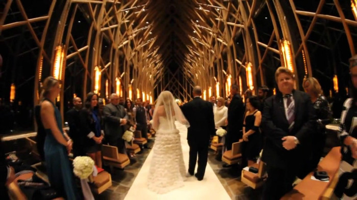 Demi Lovato - Tiffany Thornton and Chris Wedding 4069