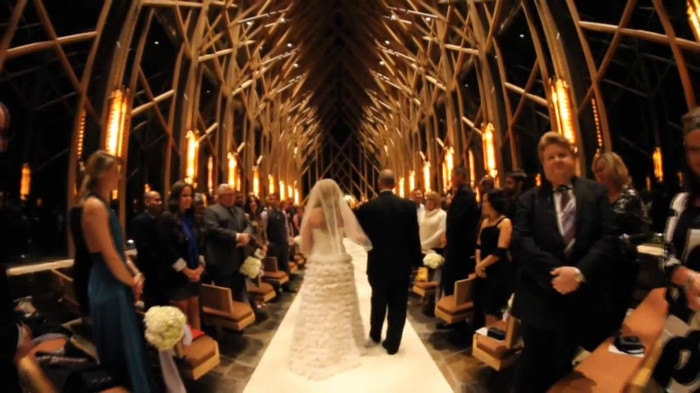 Demi Lovato - Tiffany Thornton and Chris Wedding 4070