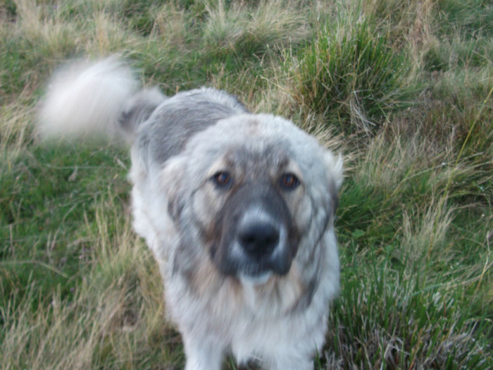 romania summer 2011 151