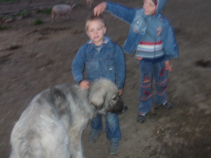 romania summer 2011 153