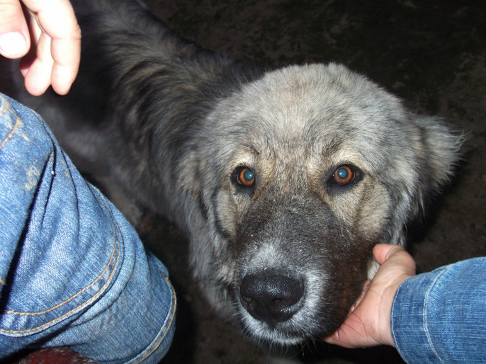 romania summer 2011 154