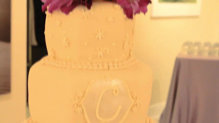 Demi Lovato - Tiffany Thornton and Chris Wedding 4831