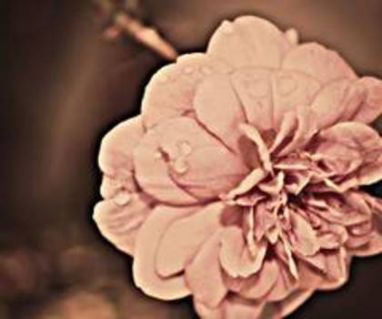 541234_3870921622579_1564795662_33207738_925322679_n_thumb