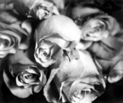 tumblr_lmus165s0Y1qe2jb8o1_500_thumb