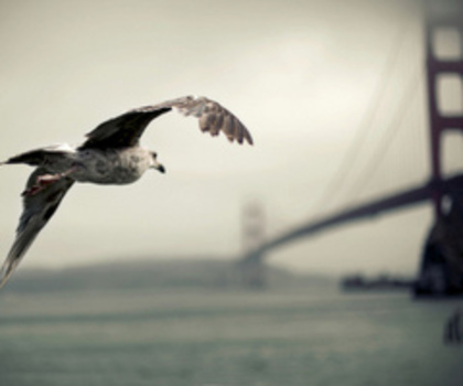 tumblr_luxcohZgDQ1qj27d6o1_400_thumb