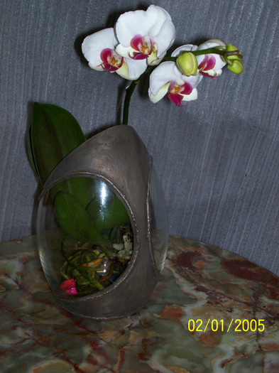 100_0512; orhidee in vas de sticla metalizat, unicat
