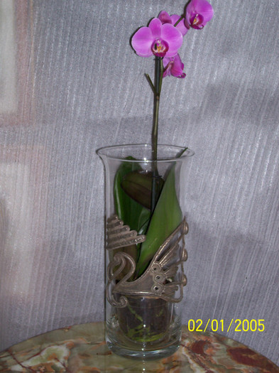 100_0518; orhidee in vas de sticla metalizat, unicat
