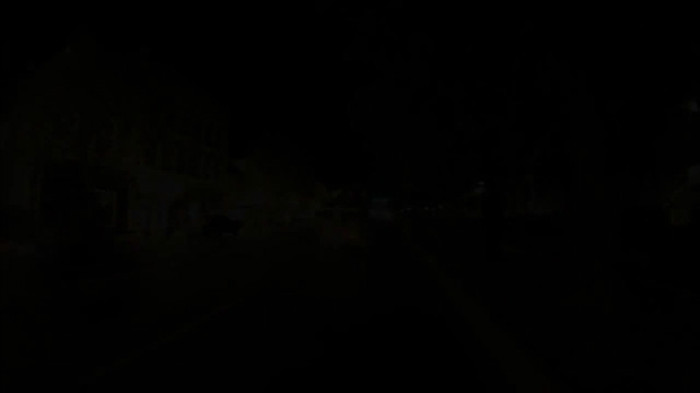 Demi Lovato - Tiffany Thornton and Chris Wedding 5369 - Demi Lovato - Tiffany Thornton and Chris Wedding Part o10