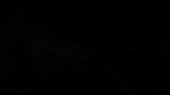 Demi Lovato - Tiffany Thornton and Chris Wedding 5370 - Demi Lovato - Tiffany Thornton and Chris Wedding Part o10