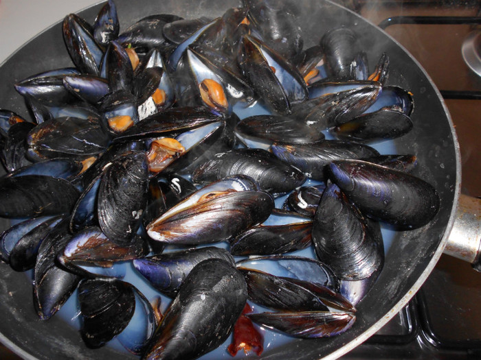 cozze-scoici - 13 NOIEMBRIE 2011 O ZI LA MARE SI 2012