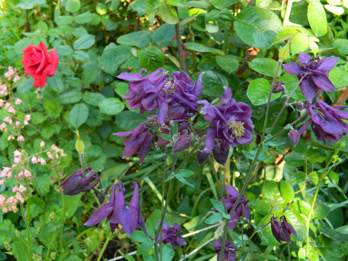DSCN4819