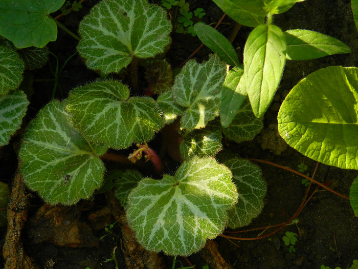 DSCN4825