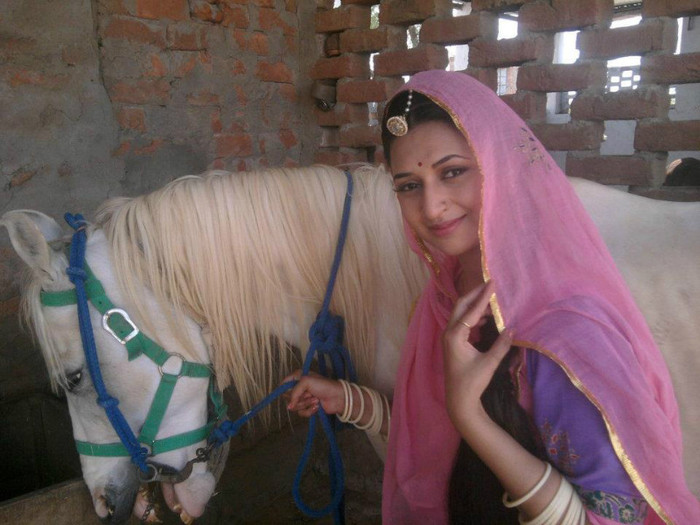 543336_10150877630356880_37941796879_9715901_587782396_n