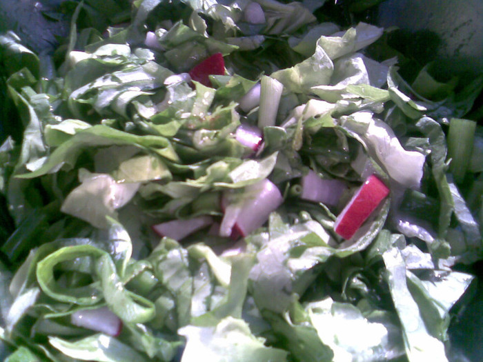 nicio masa fara... salata !!!