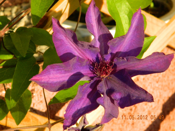 my picture 019
