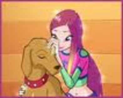 Calmeaza-te! - Winx episodul 14