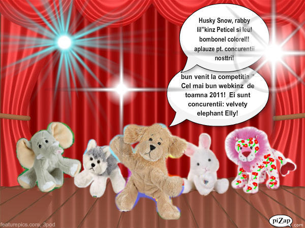 competitia webkinz
